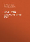 Henri IV en Gascogne (1553-1589)