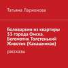 Боливаркин из квартиры 53 города Омска. Рассказы про кота