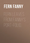 Fern Leaves from Fanny's Port-folio.