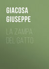 La zampa del gatto