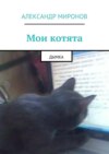 Мои котята. Дымка