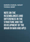 Note on the Resemblances and Differences in the Structure and the Development of the Brain in Man and Apes