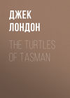 The Turtles of Tasman