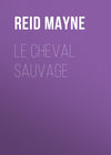 Le cheval sauvage