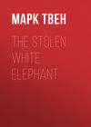 The Stolen White Elephant