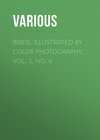 Birds, Illustrated by Color Photography, Vol. 1, No. 6