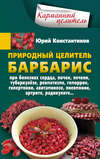 Природный целитель барбарис. При болезнях сердца, почек, печени, туберкулёзе, ревматизме, геморрое, гипертонии, авитаминозе, пневмонии, артрите, радикулите