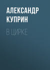 В цирке