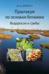 Практикум по основам ботаники. Водоросли и грибы