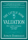 The Little Book of Valuation. How to Value a Company, Pick a Stock and Profit