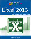 Teach Yourself VISUALLY Excel 2013