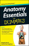 Anatomy Essentials For Dummies