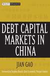 Debt Capital Markets in China