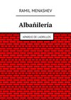 Albañilería. Aparejo de ladrillos