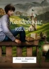 Колдовские камни. Книга 1. Защитник камня