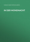 In der Mondnacht