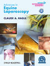 Advances in Equine Laparoscopy