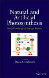 Natural and Artificial Photosynthesis