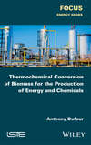 Thermochemical Conversion of Biomass for the Production of Energy and Chemicals