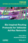 Bio-inspired Routing Protocols for Vehicular Ad-Hoc Networks