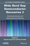 Wide Band Gap Semiconductor Nanowires 2