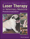 Laser Therapy in Veterinary Medicine