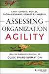 Assessing Organization Agility