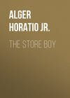 The Store Boy