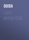 Lehti myrskyssä