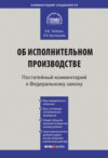 Комментарий к Федеральному закону от 2 октября 2007 г. № 229-ФЗ «Об исполнительном производстве» (постатейный)