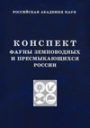 Конспект фауны земноводных и пресмыкающихся России