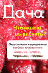 Что можно вырастить? Энциклопедия выращивания ягодных кустарников: малина, слива, черешня, яблоня