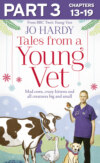 Tales from a Young Vet: Part 3 of 3: Mad cows, crazy kittens, and all creatures big and small