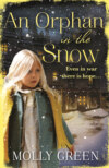 An Orphan in the Snow: The heart-warming saga you need to read this year