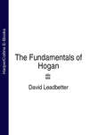 The Fundamentals of Hogan