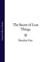 The Secret of Lost Things