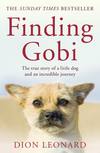 Finding Gobi