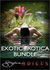 Exotic Erotica Bundle: Invite Me In / Tokyo Rendezvous / Soul Strangers