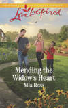 Mending The Widow's Heart