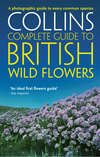 British Wild Flowers: A photographic guide to every common species