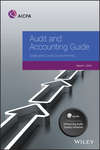 Audit and Accounting Guide