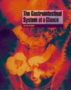 The Gastrointestinal System at a Glance