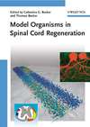 Model Organisms in Spinal Cord Regeneration