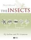 The Insects