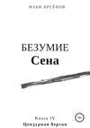 Сен. Книга четвертая. Безумие Сена