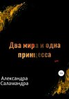 Два мира и одна принцесса. Меж двух миров