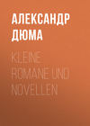 Kleine Romane und Novellen