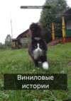 Виниловые истории