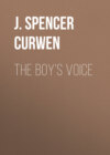 The Boy's Voice