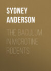 The Baculum in Microtine Rodents